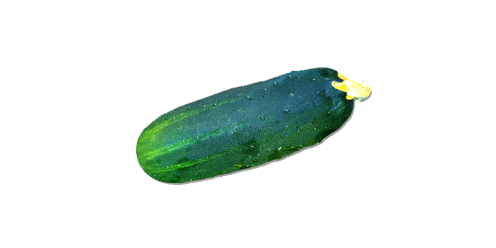 Specifie an alternate text for an image